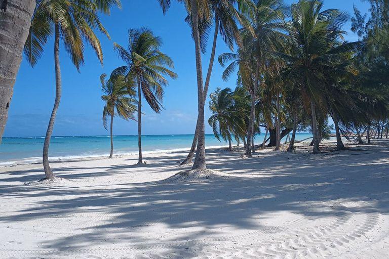 Playa de arena blanca con palmeras y mar turquesa en Cap Cana, Punta Cana
