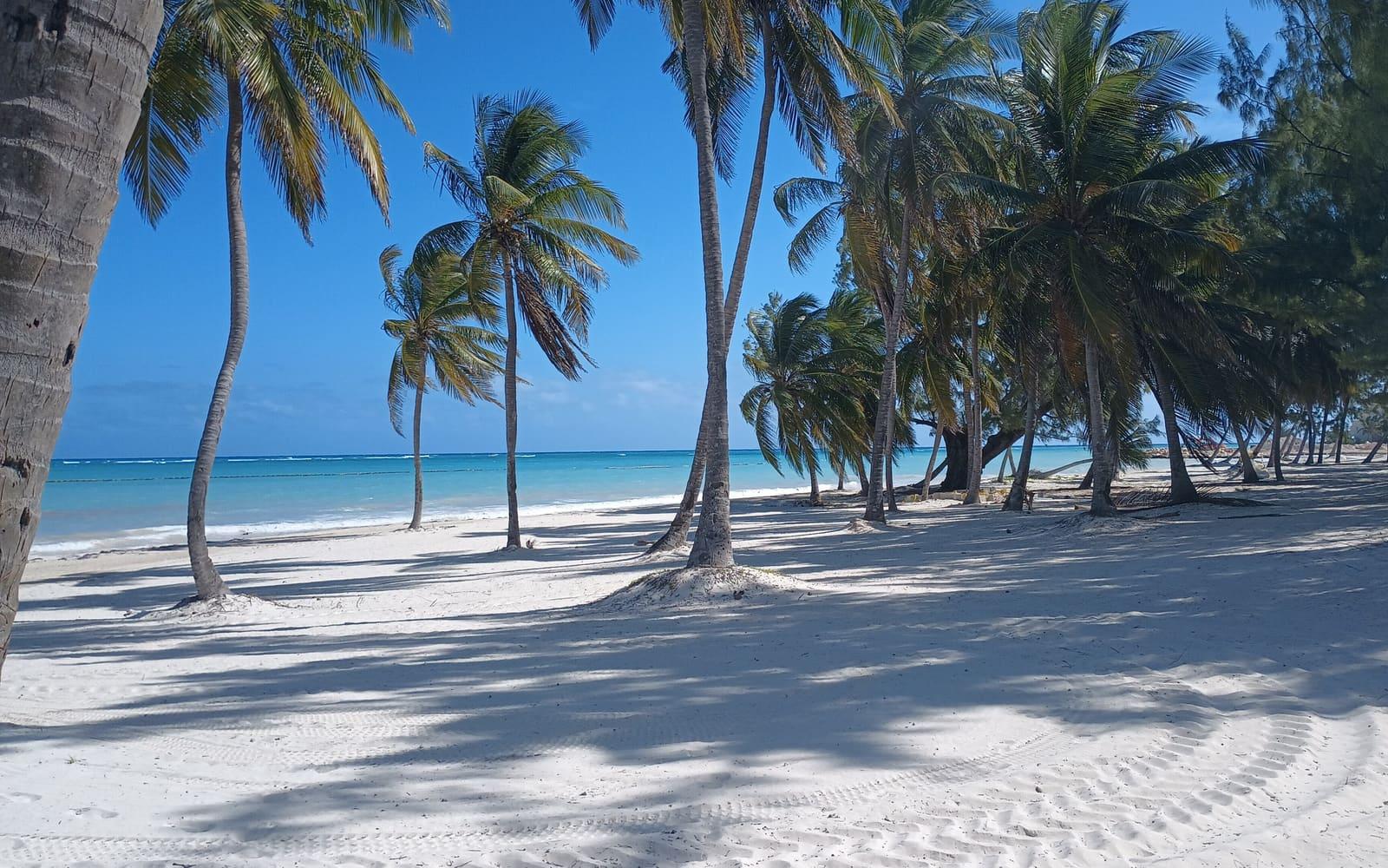 Playa de arena blanca con palmeras y mar turquesa en Cap Cana, Punta Cana
